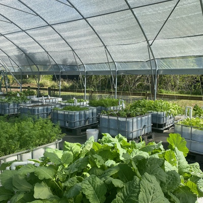 Eden Homestead