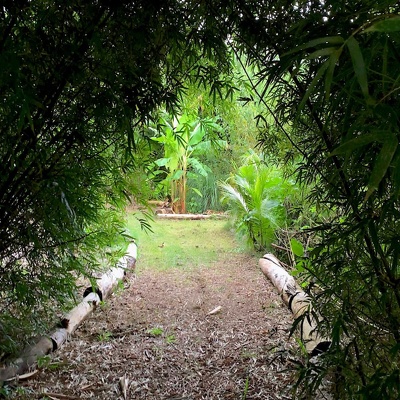 Food Forest