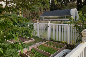 EdenGarden